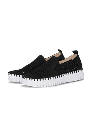 TULIP 141 BLACK